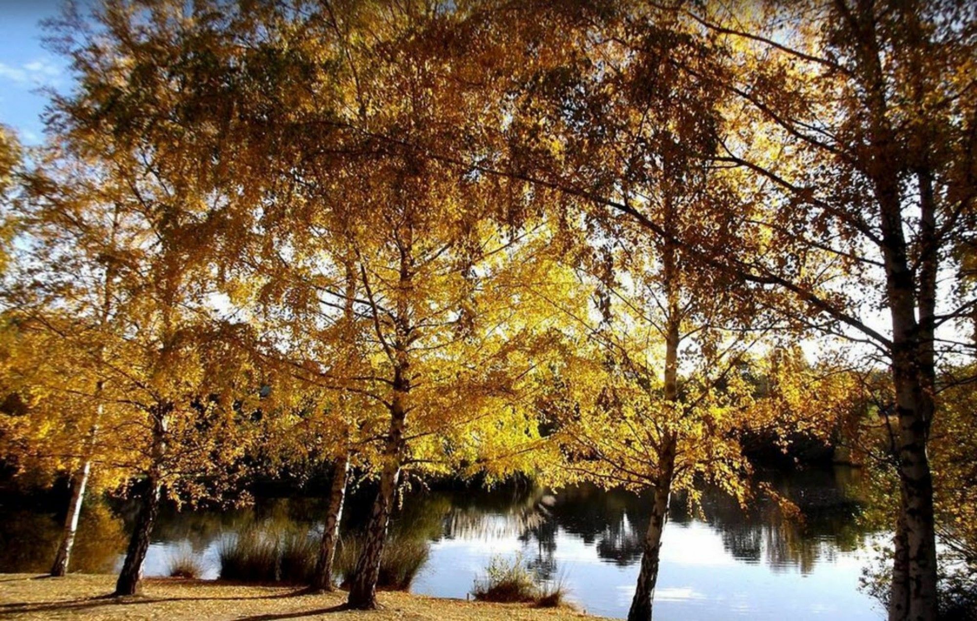 Lake House Daylesford Buitenkant foto